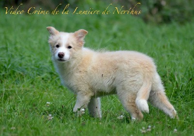 Video Crime de la Lumière de Nerthus 