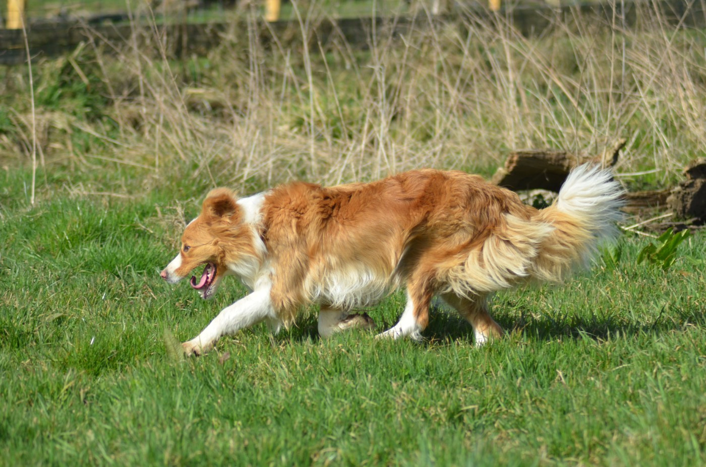U never can tell de la lumière de nerthus De La Lumière De Nerthus